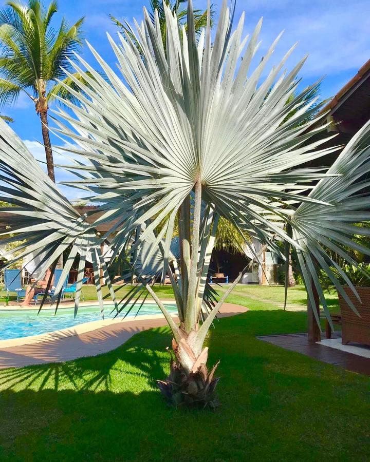 Pousada Villa Palmeira Azul Porto Seguro Esterno foto